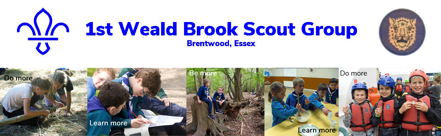 Scouts, Cubs and Beavers at Group Camp